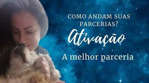 Como andam suas parcerias?