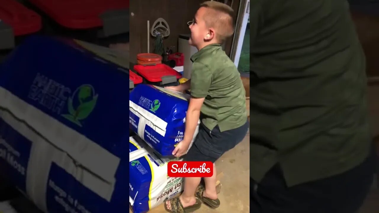 Trying to help Mom, But the bag weighs more than he does… #shorts #viral