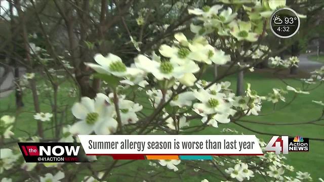 Summer allergy season is worse than last year