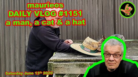 maurieos DAILY VLOG #1151 a man, a cat & a hat
