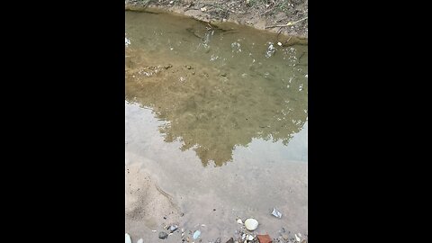 Fishing in the pond with friends