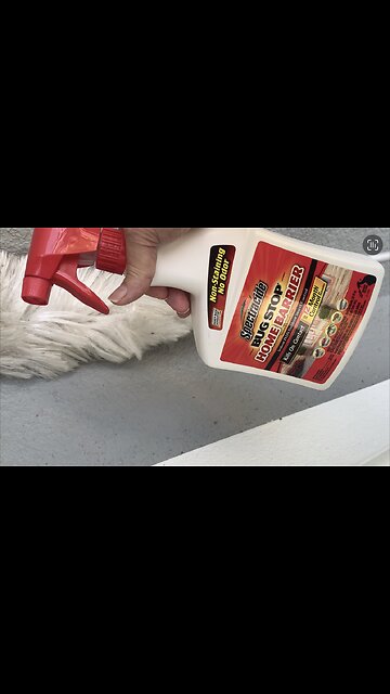 How To Remove Bugs ,Cobwebs Spiders From Your House For Good!!