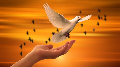 The Touch of Faith Rev John White Stoneboro Camp Meeting Holy Ghost Anointed Scriptural Sermon