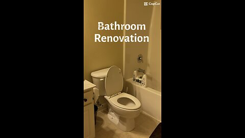 Fun bathroom transformation