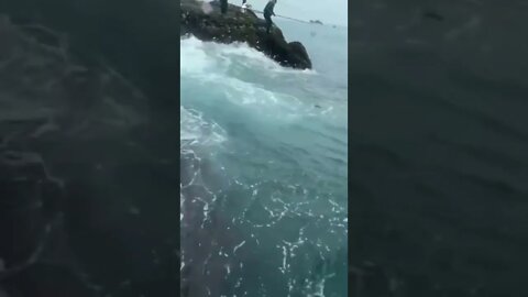 Eita!