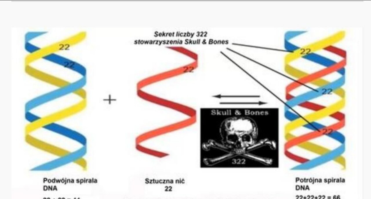 Anthony Patch: Post Human. DNA - mRNA and the Post Human State of the Vaxed