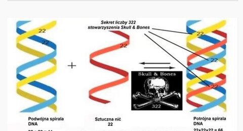 Anthony Patch: Post Human. DNA - mRNA and the Post Human State of the Vaxed