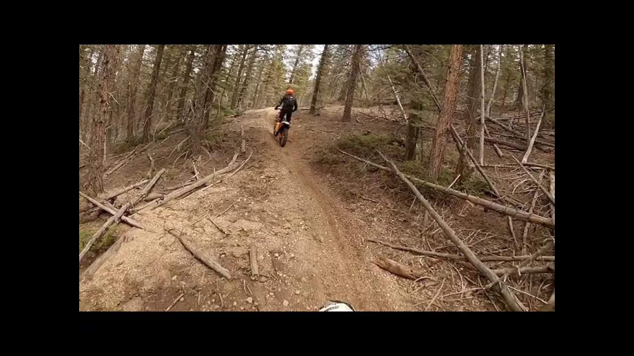 Rainbow Trail - Bear Gulch to Kerr Gulch - Part 5