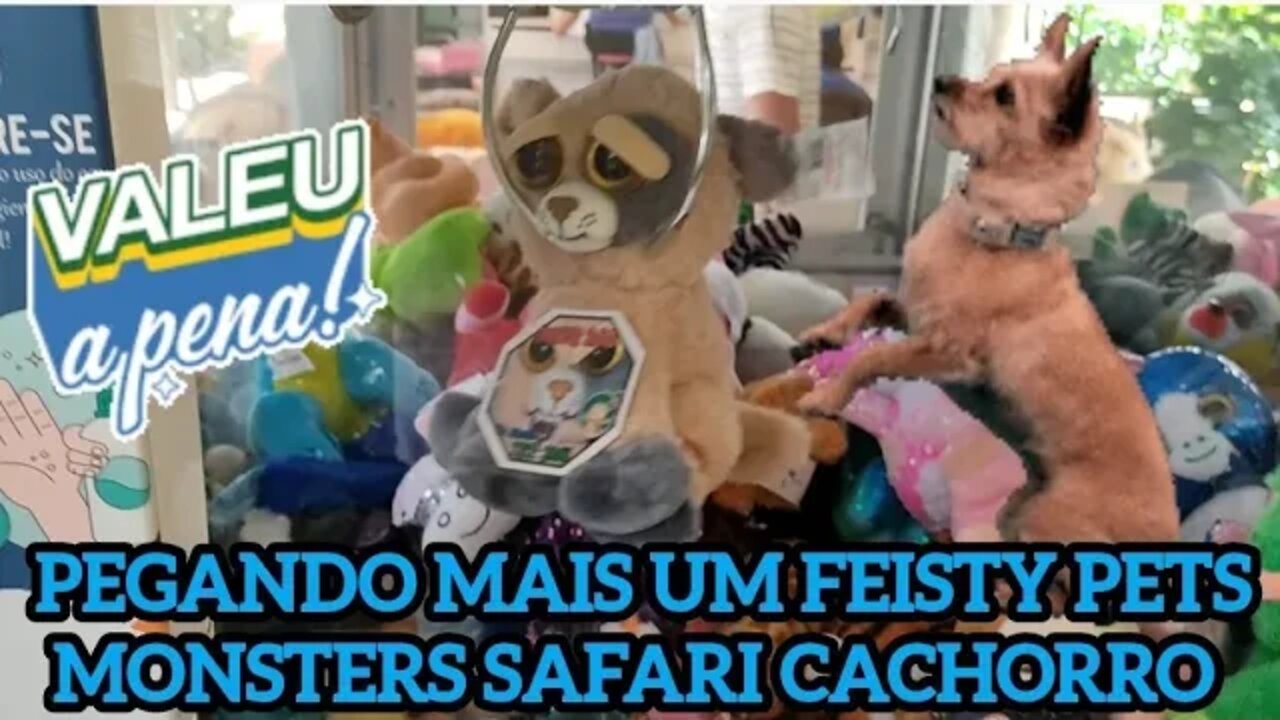 PEGANDO MAIS UM FEISTY PETS MONSTERS CACHORRO 🐕🐶.