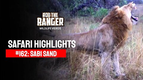 Safari Highlights #162: 14 - 17 Sepr 2012 | Sabi Sand Nature Reserve | Latest Wildlife Sightings