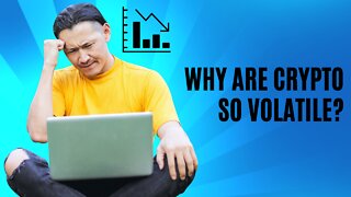 Why Are Cryptocurrencies So Volatile | What Causes Cryptocurrency Volatility