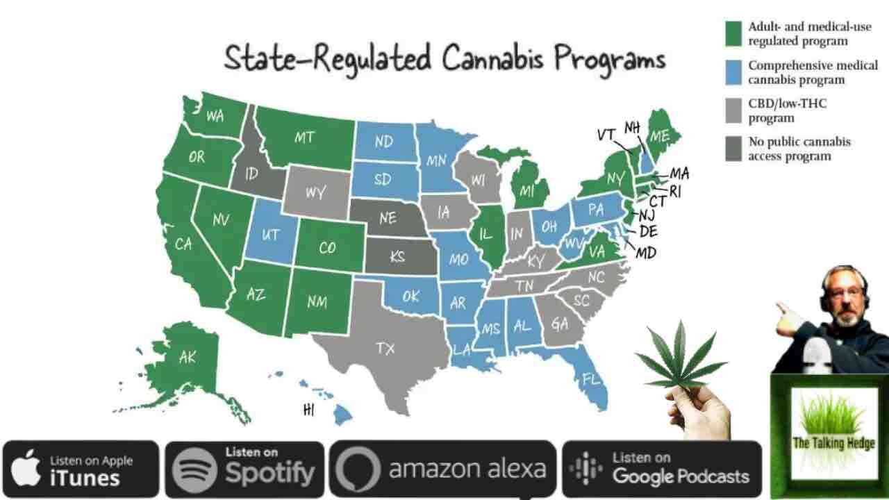 The State Of Cannabis In The U.S.