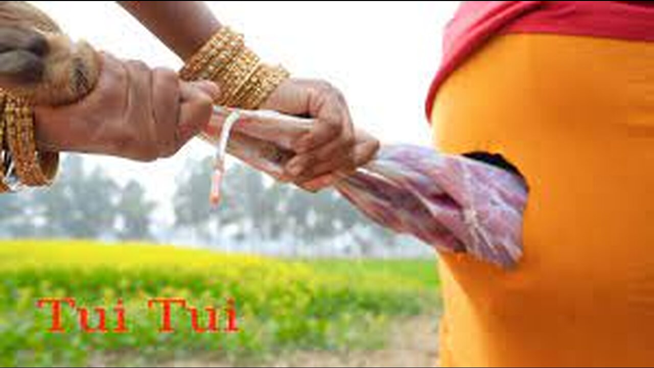 Tui Tui Unlimited Comedy Video😂Tui tui Best Funny Video 2023😂Special New Video