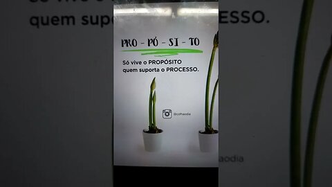 O propósito e o processo