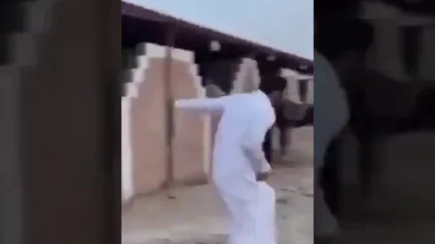 Guy Gets Kicked In The Gonnads By A Horse