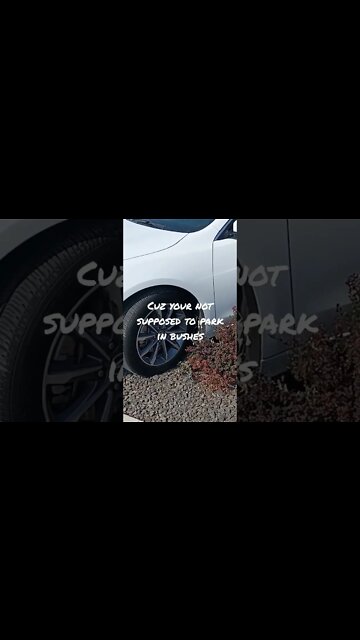 This is what happens when you extend "last call" at bar into mid-day:-)