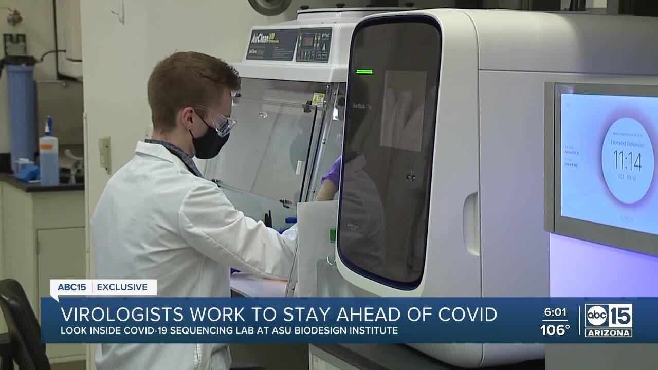 Arizona virologists work to get one step ahead of COVID-19 mutations