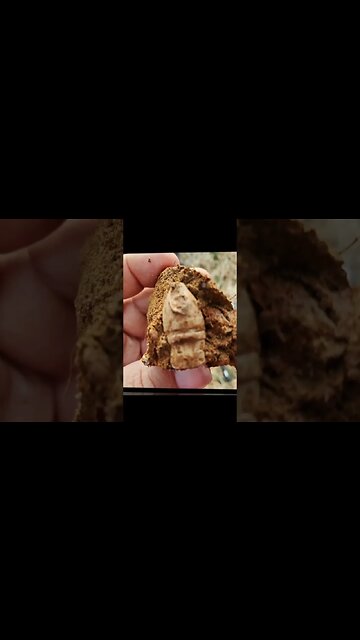 Prelude short #treasure #relic #coins #fishing #buttons #silverage #metaldetecting #coin