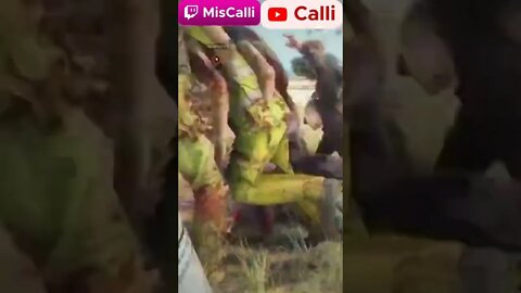 Zombie Stampede
