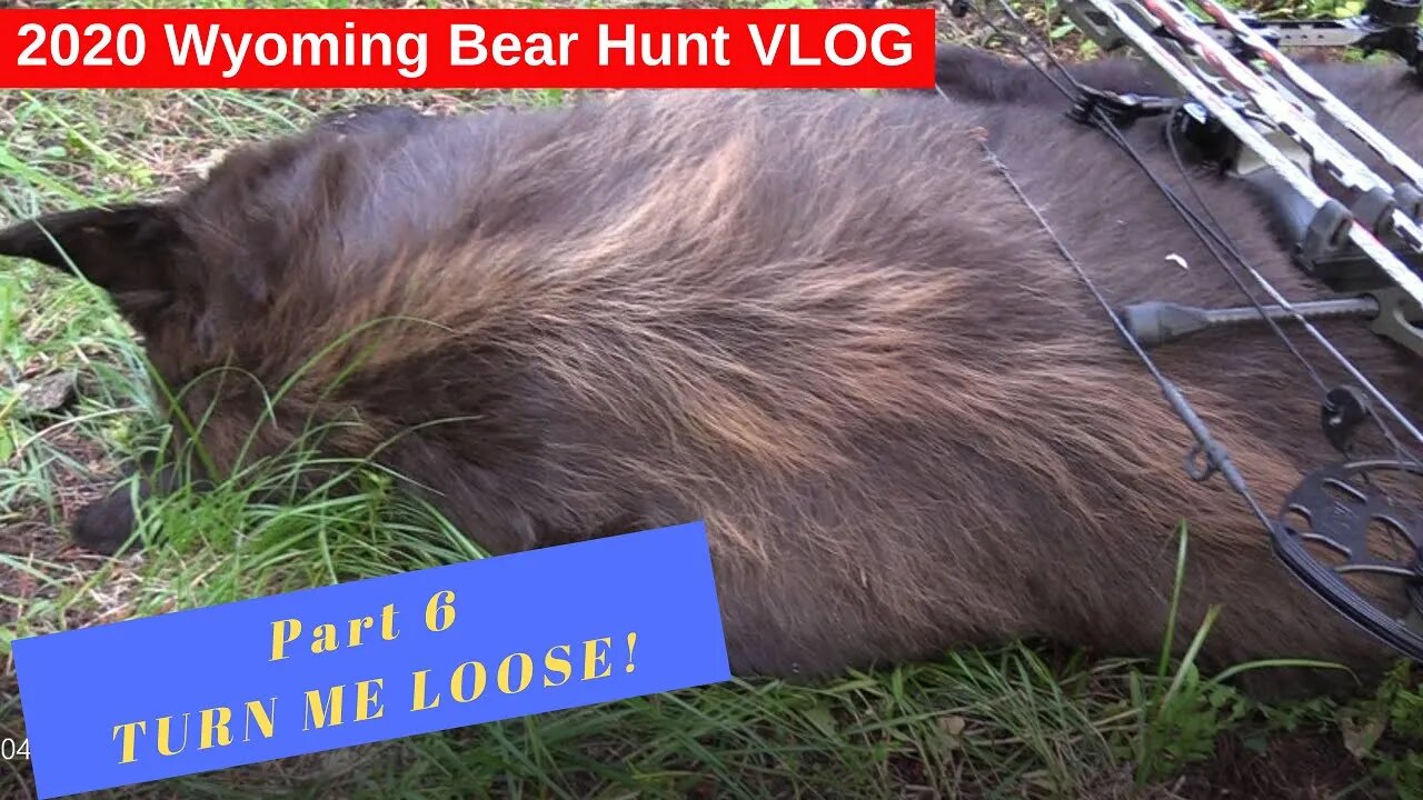 Wyoming Backcountry Bear Hunt VLOG #6