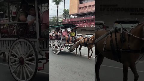 Horse & Carriage #viral #shortvideo #shorts #short #subscribe #shortsfeed #shortsvideo #travel