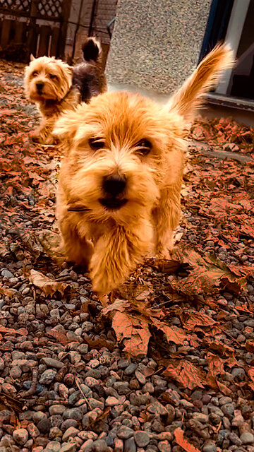 Happy Just To Be Outside!