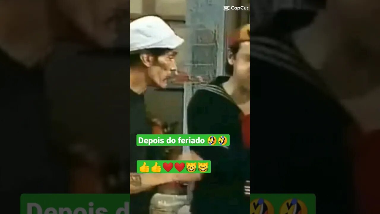 Gato Bartolomeu Tunico depois do feriado 😸