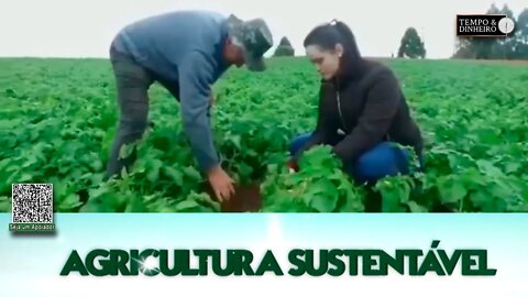 Agricultura Sustentável - com Frederico Olivi