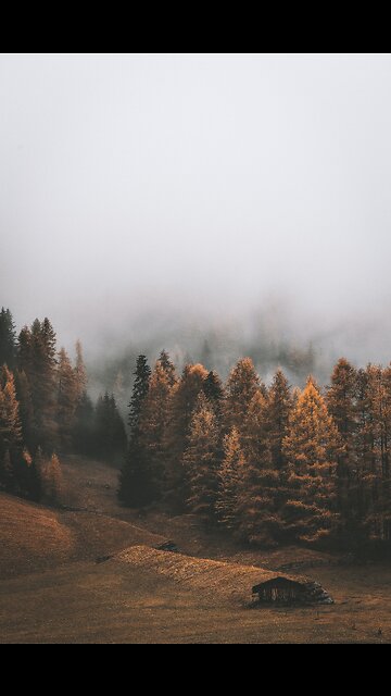 Before you swipe away, use these next 60 seconds to take a couple deep breaths.