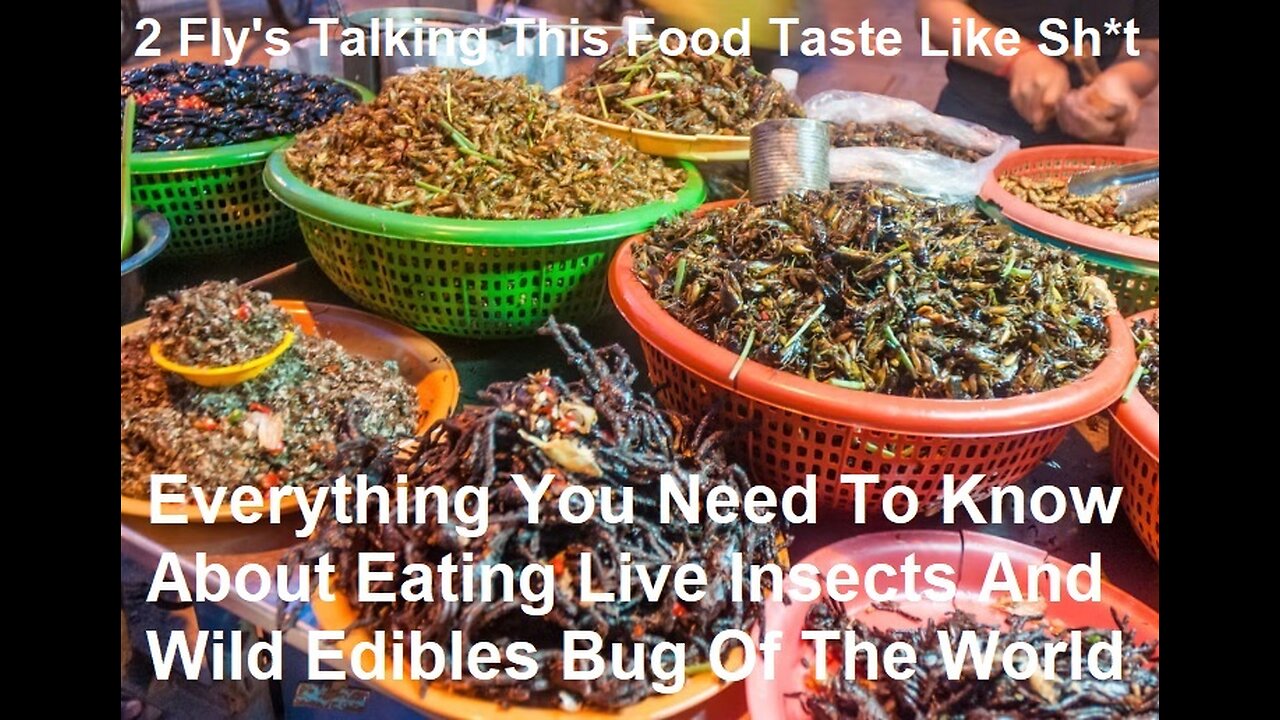 Everything You Need To Know About Eating Live Insects Wild Edibles Of The World