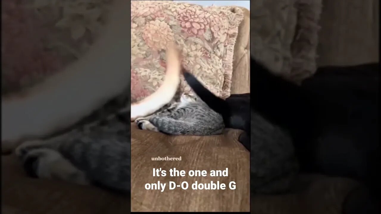 It's the one and only D-O double G #shorts