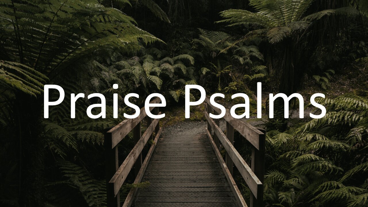 Praise Psalms - Psalms 145-150