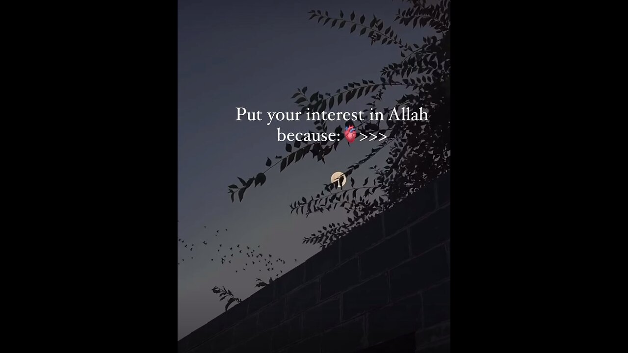 Islamic Videos