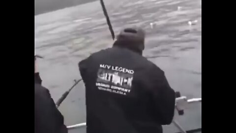 The myth, the legend... We finally caught him !!