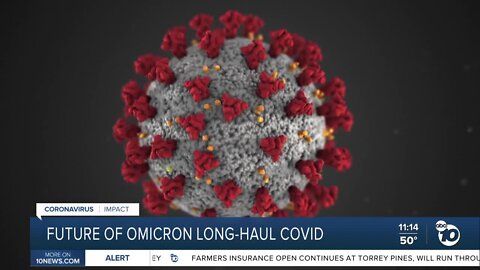 Experts explain the possibility of Omicron long-haul COVID