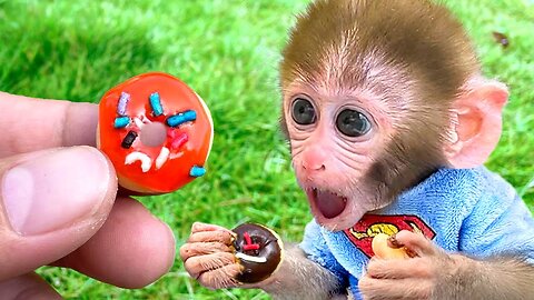 Monkey with girl funny video sale