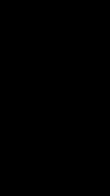 Epstein’s Island and McDonald’s