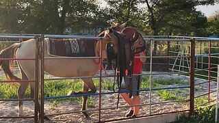 Growing up Cowboy