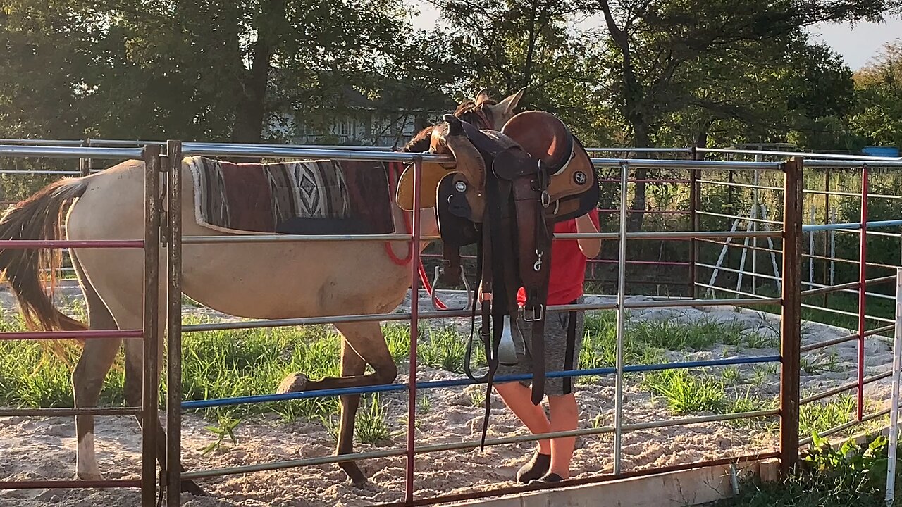 Growing up Cowboy