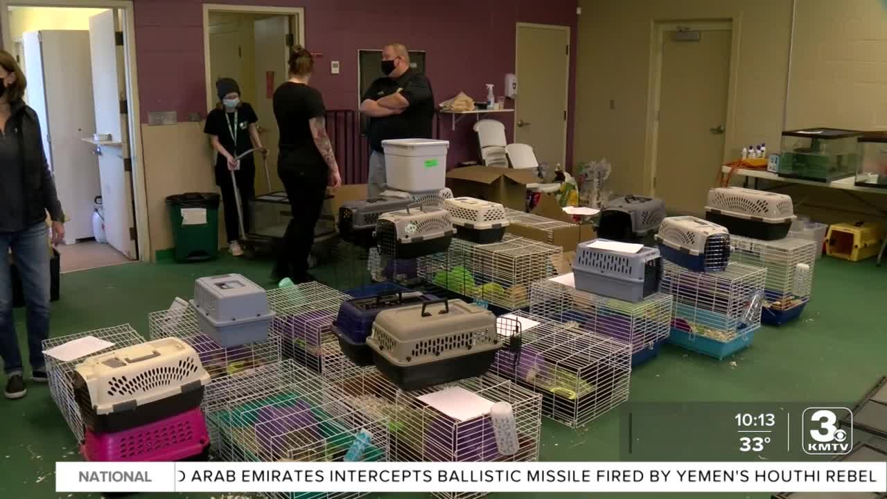 Hundreds of animals rescued by NHS