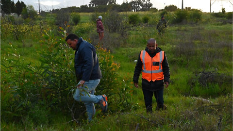 ( S ) The search for a kidnapped six-year-boy from Cape Town continues