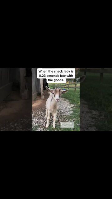 He's done with it #shorts