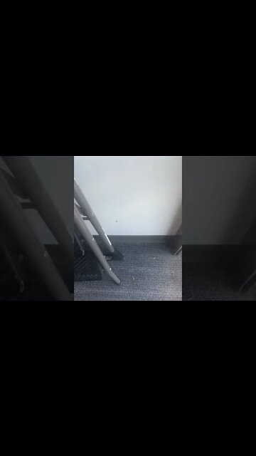 Annoying-ass cricket inside the wall at the AT&T store