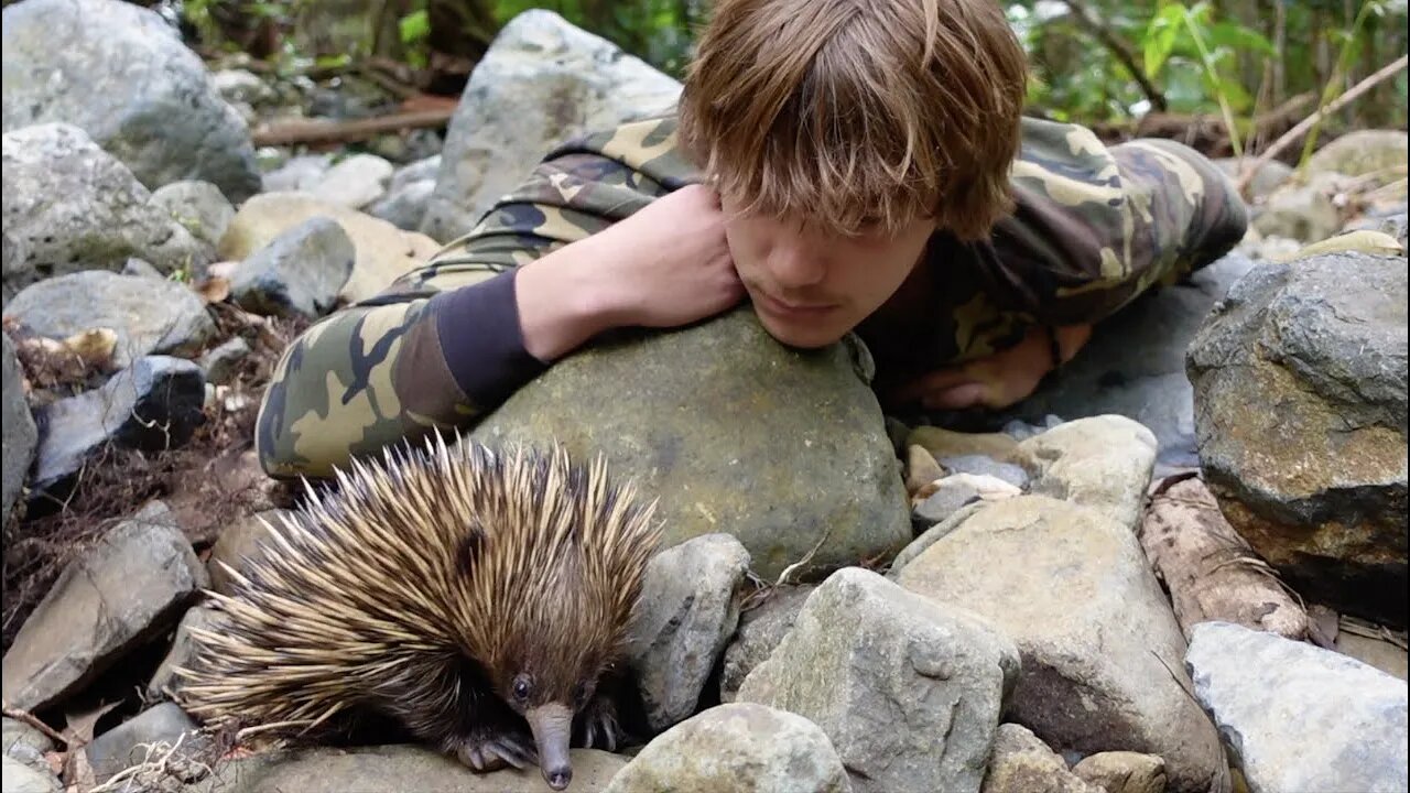 Venomous SNAKES & LIZARDS of AUSTRALIA! (Echidna Encounter)