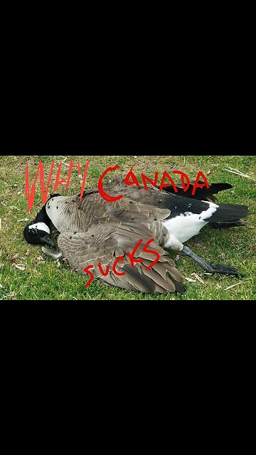 IF SOMEONE IS RAPING YOUR DAUGHTER YOU CAN'T TOUCH THEM IN CANADA