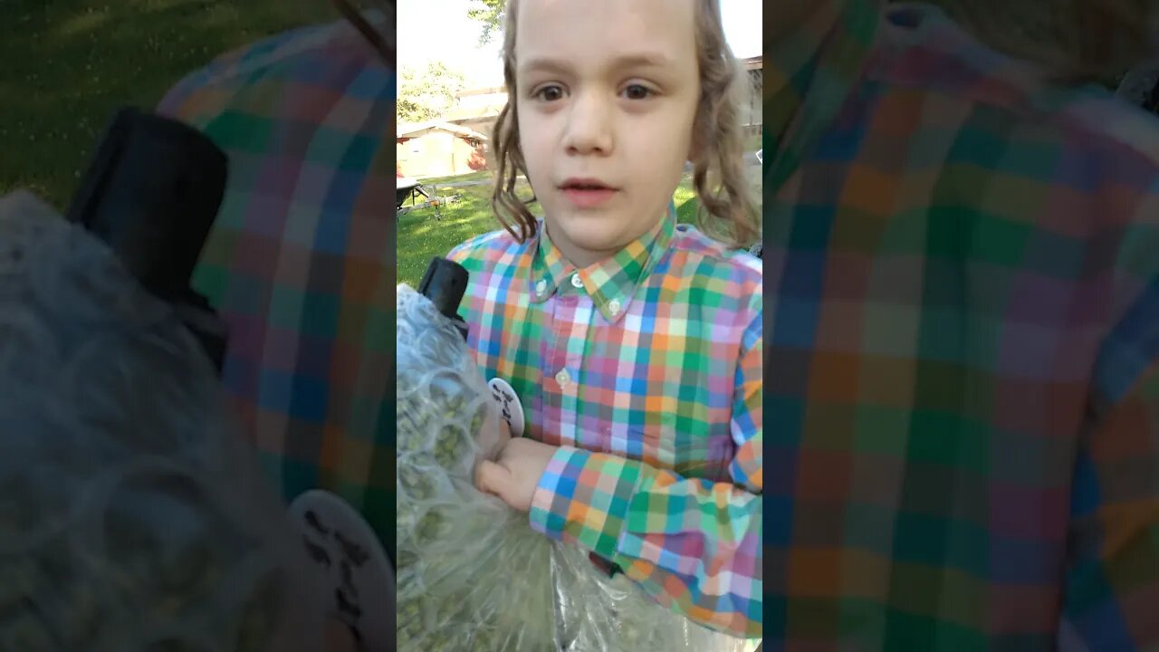 Creature from the Black Lagoon Grave Walker unboxing video