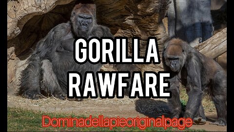 Gorilla Rawfare