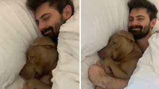 Charming dog shamelessly steals owner's boyfriend