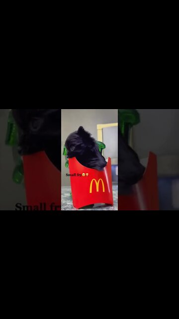 Small Fries You Can Order From McDonalds