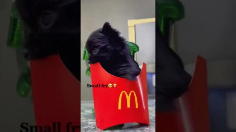 Small Fries You Can Order From McDonalds